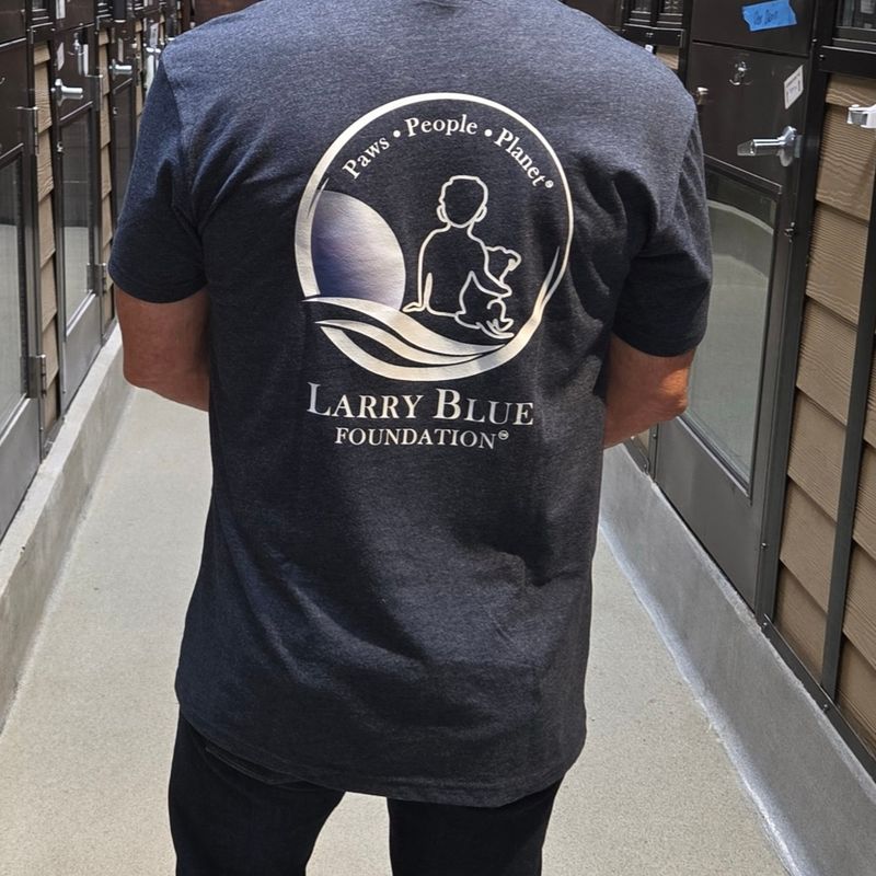 A volunteer wearing the Larry Blue Foundation tee among the kennels at The Orphanage