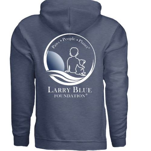 Larry Blue Foundation hoodie, back view, heather blue with full crest and wordmark