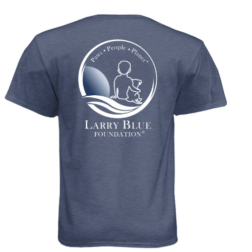 Larry Blue Foundation T-shirt, back view, heather blue with full crest and wordmark